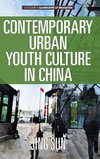 Contemporary Urban Youth Culture in China