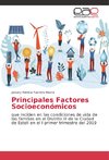 Principales Factores Socioeconómicos