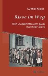 Risse im Weg