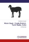 Molai Goat - Erode District, Tamil Nadu, India