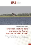 Evolution spatiale de la mangrove de Grand-Bassam de 1985 à 2030