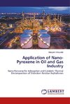 Application of Nano-Pyroxene in Oil and Gas Industry