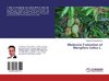 Molecular Evaluation of Mangifera indica L.