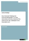 Eine kritische Prüfung des Lebensweltbegriffes vor dem systemtheoretischen Kontext. Wie universal ist die (Luhmann'sche) Systemtheorie?