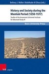 History and Society during the Mamluk Period (1250-1517)