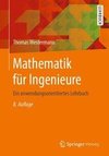 Mathematik für Ingenieure