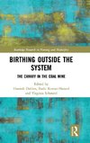 Birthing Outside the System