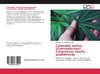 Cannabis sativa (Cannabaceae)Caracteres morfo-anatómicos