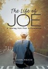 The Life of Joe