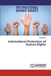 International Protection of Human Rights