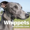 Whippets