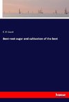 Beet-root sugar and cultivation of the beet