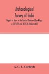 Archaeological survey of india, Report of Tours in the Central Doab and Gorakhpur in 1874-75 and 1875-76 (Volume XII)