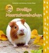 Drollige Meerschweinchen