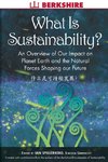 What Is Sustainability?