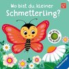 Wo bist du, kleiner Schmetterling?