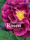 Historische Rosen