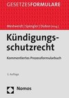 Kündigungsschutzrecht