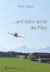 ... und dann winkt der Pilot