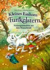 Kleines Einhorn Funkelstern. Vorlesegeschichten aus dem Wunschwald