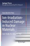 Ion-Irradiation-Induced Damage in Nuclear Materials