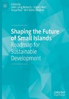 Shaping the Future of Small Islands