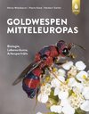 Goldwespen Mitteleuropas