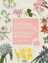 Zwiebelpflanzen & Knollenblumen