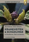 Krankheiten & Schädlinge an Zierpflanzen, Obst und Gemüse