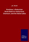 Bradshaw´s Pedestrian Route-Book for Switzerland, Chamouni, and the Italian Lakes