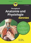 Übungsbuch Anatomie und Physiologie für Dummies