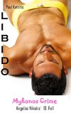 Libido - Mykonos Crime 18