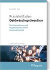 Praxisleitfaden Geldwäscheprävention