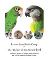 Letters from Birdie Camp