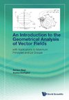 An Introduction to the Geometrical Analysis of Vector Fields