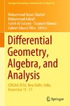 Differential Geometry, Algebra, and Analysis