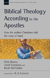 Biblical Theology According to the Apostles