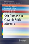 Salt Damage in Ceramic Brick Masonry