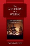 The Chronicles of a Wildfire