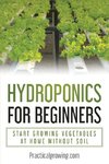 Hydroponics for Beginners