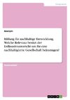 Bildung für nachhaltige Entwicklung. Welche Relevanz besitzt der Erdkundeunterricht um für eine nachhaltig(er)e Gesellschaft beizutragen?