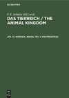 Das Tierreich / The Animal Kingdom, Lfg. 55, Amphibia. Anura, Teil 3: Polypedatidae