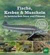 Fische, Krebse & Muscheln in heimischen Seen und Flüssen