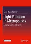 Light Pollution in Metropolises