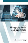 Hindernisse für das Wachstum von Kleinunternehmen