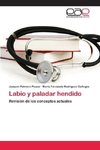 Labio y paladar hendido