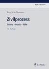 Zivilprozess