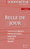 Fiche de lecture Belle de jour de Joseph Kessel (Analyse littéraire de référence et résumé complet)