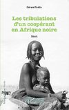 Tribulations d'un coopérant en Afrique noire