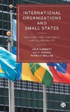 International Organizations and Small States